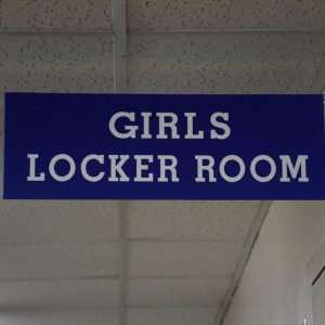 Room Sign- Flag Type